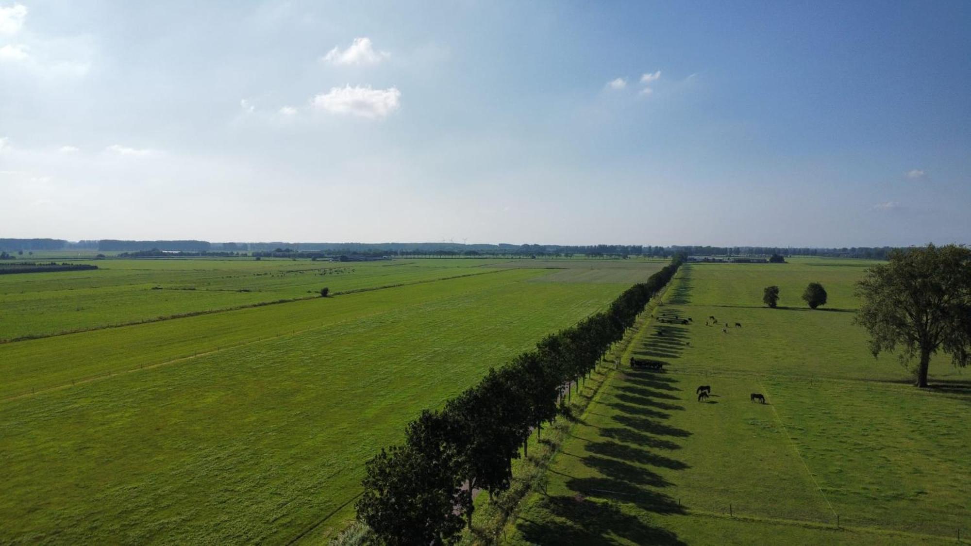 Landelijke Huis In De Betuwe Tricht Exterior foto